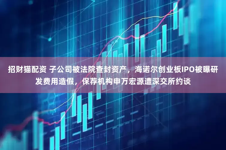 招财猫配资 子公司被法院查封资产，海诺尔创业板IPO被曝研发费用造假，保荐机构申万宏源遭深交所约谈