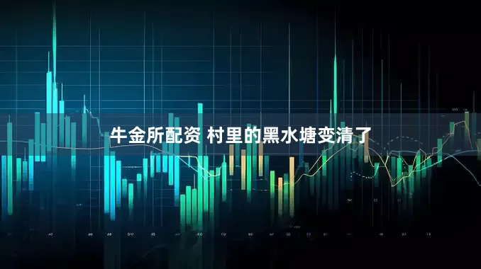 牛金所配资 村里的黑水塘变清了