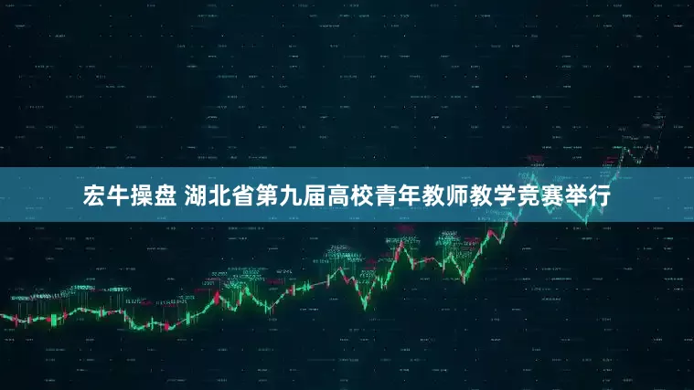 宏牛操盘 湖北省第九届高校青年教师教学竞赛举行
