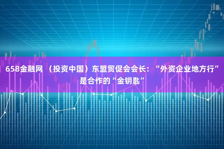 658金融网 （投资中国）东盟贸促会会长：“外资企业地方行”是合作的“金钥匙”